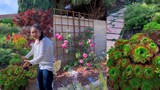 Cận cảnh khu vườn ngập hoa trong biệt thự ở Mỹ của Hồng Đào