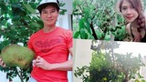 Biệt thự xanh mướt triệu đô của Lý Hải - Minh Hà ở ngoại thành