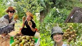 Xuýt xoa cây trái trĩu trịt trong vườn 600m2 của MC Cát Tường
