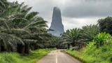 “Cây kim đá” khổng lồ giữa khu rừng đầy rắn ở châu Phi