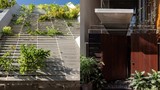 Báo Mỹ ấn tượng ngôi nhà dùng cây xanh chống nóng ở Hà Nội