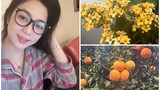 Mãn nhãn biệt thự ngập hoa của Hà Thanh Xuân tại Mỹ