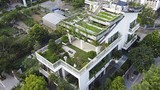 Ngắm vườn rau 300 m2 xanh mướt trên nóc biệt thự ở Hà Nội