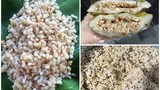 Chị em đua nhau mua bánh trứng kiến, tiểu thương hốt bạc