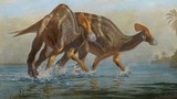 Phát hiện hóa thạch của loài khủng long đã tuyệt chủng 72 triệu năm