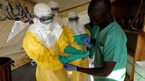 Kẻ tung tin dịch Ebola xuất hiện ở VN có mục đích gì?