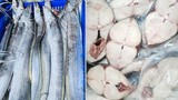 6 loài cá giàu dinh dưỡng không lo hóa chất, đi chợ nên mua
