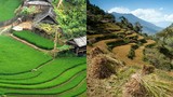 Choáng ngợp "ruộng bậc thang Việt Nam" trên dãy Himalaya