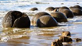 Tận mục bãi đá “trứng rồng” bí hiểm ở New Zealand