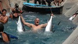 Ấn tượng lễ hội săn cá ngừ ở Địa Trung Hải