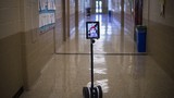 Câu chuyện cảm động robot đến trường thay nữ sinh ung thư