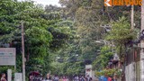 “Khu rừng” tuyệt đẹp trong ngôi chùa ở Sài Gòn  