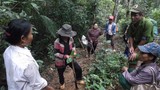 Quảng Bình: Giám đốc rừng phòng hộ “mất tích” bí ẩn