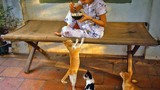 Ảnh độc về chó mèo ở Sài Gòn những năm 1989-1990