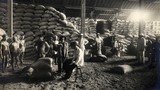 Soi nền kinh tế lúa gạo sầm uất ở Chợ Lớn năm 1925