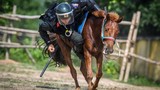 Cận cảnh CSCĐ kỵ binh Việt Nam thuần dưỡng, huấn luyện ngựa trên thao trường
