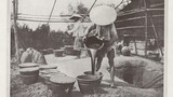 Bộ ảnh hiếm về nghề làm mật mía ở Quảng Ngãi xưa