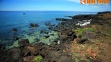 Tận mục vẻ đẹp của bãi đá nham thạch đảo Bé - Lý Sơn ngàn năm tuổi