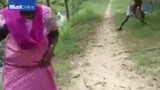 Video: Người đàn ông dùng tay không quật chết rắn hổ mang chúa