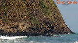 Soi “Gành Đá Đĩa” thứ hai, nổi lên giữa biển ở Phú Yên