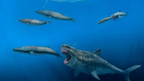 Siêu cá mập megalodon có thể ăn cá voi sát thủ trong 5 nhát cắn