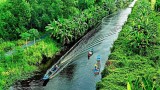 Khu rừng ở Việt Nam được xếp hạng quý hiếm từng nhiều lần lên phim