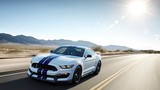 Ford Shelby GT350 sẽ trình diễn “cơ bắp” tại Detroit Auto Show