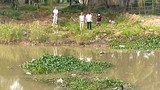 Bàng hoàng phát hiện thi thể người phụ nữ dưới sông Cầu Giát