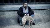 Lưu Bang thích ăn thịt chó, nhưng bị hậu thế lên án
