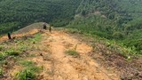 Khởi tố, bắt tạm giam đối tượng phá rừng tự nhiên ở Hà Tĩnh