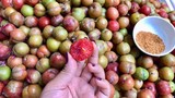 Mận đầu mùa giá 150.000 đồng/kg ế khách