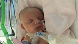 Cuộc chiến của bé 6 tuần tuổi bị thủng tim bẩm sinh