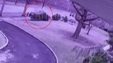 Video: Tai nạn khiến xế hộp lao vào cây, vỡ làm đôi