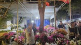 Đắk Lắk: Tiểu thương đồng loạt giảm giá hoa xuân... người mua lác đác