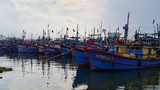 Đà Nẵng: Âu thuyền Thọ Quang trước giờ siêu bão Noru đổ bộ 