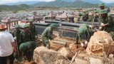  Đà Nẵng: Sạt lở nghĩa trang, hơn 1.000 chiến sĩ tham gia tìm mộ