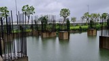 Cận cảnh “đất vàng” bỏ hoang giữa trung tâm Đà Nẵng