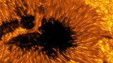 Các bức ảnh chụp vết đen Mặt Trời cho thấy dòng plasma