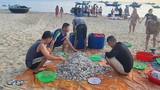 Ngư dân Đà Nẵng kiếm tiền triệu nhờ trúng đậm cá cơm, cá trích 