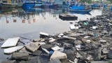 Đà Nẵng: Mướt mồ hôi dọn rác quanh Âu thuyền Thọ Quang