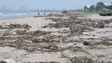 Sau đợt mưa lớn kéo dài, rác ngập bờ biển Đà Nẵng 
