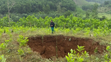 Quảng Nam: Nguyên nhân xuất hiện “hố tử thần” trong rừng keo