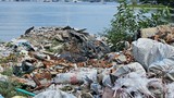 Vịnh Mân Quang nhếch nhác, bị bủa vây bởi đủ loại rác 