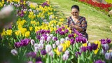 Ngắm hoa tulip lần đầu khoe sắc trên đỉnh núi Bà Đen Tây Ninh