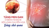 Men gan cao ở bệnh nhân rối loạn chuyển hoá – Đâu là nguyên nhân?