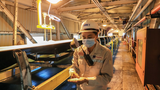 Nhà máy Đạm Cà Mau cán mốc sản xuất 10 triệu tấn Urê