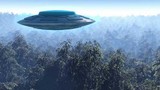 Phát hiện 1 đám UFO “lẽo đẽo” bám theo đuôi máy bay 