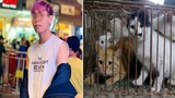 Thanh niên mua mèo về nuôi đem bán cho lò mổ khiến CĐM phẫn nộ