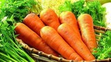 Mua cà rốt chọn củ màu sẫm là đúng hay sai? 
