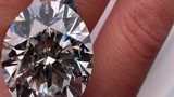 Kim cương triệu USD 'bị vứt vào thùng rác' vì tưởng đồ giả
